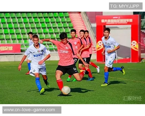 足球甲级联赛的魅力与发展探讨及其对全球足球的影响分析